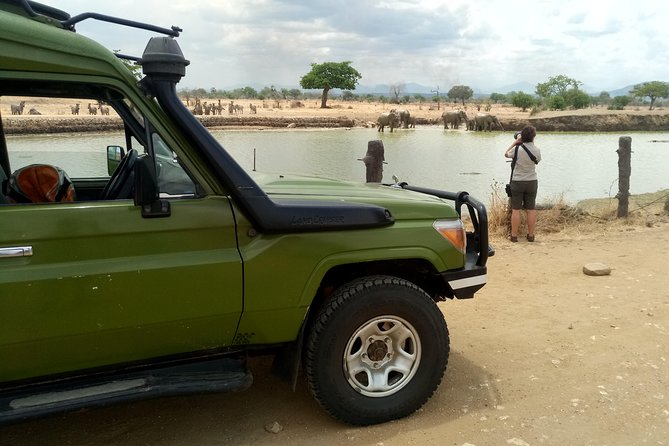 3 Days Safari to Mikumi NP - Accommodation Inside the Park - Who should book this Mikumi safari