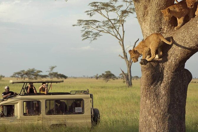 3 Days Safari to Serengeti National Park & Ngorongoro Crater in Tanzania - From Arusha to the Serengeti in one long day