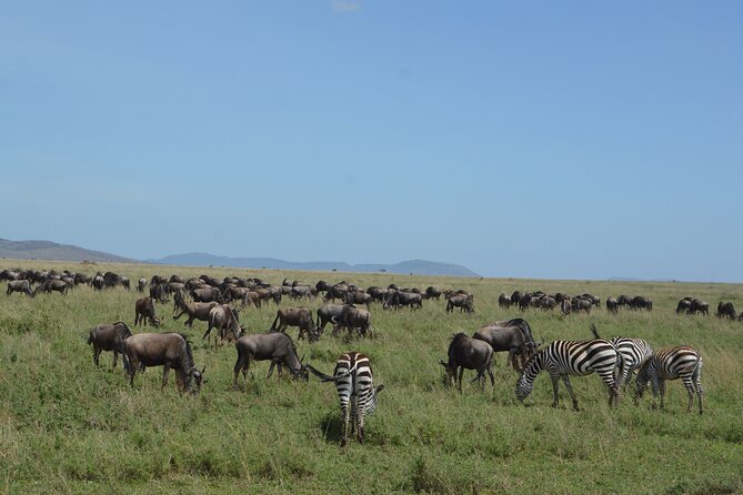 3 Days Serengeti & Ngorongoro Group Camping Safari - How this safari compares with a longer park visit