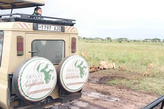 3 Days Small Group Safari to Serengeti NP and Ngorongoro Crater Tour in Tanzania - Guides, group size, and the human side of the trip