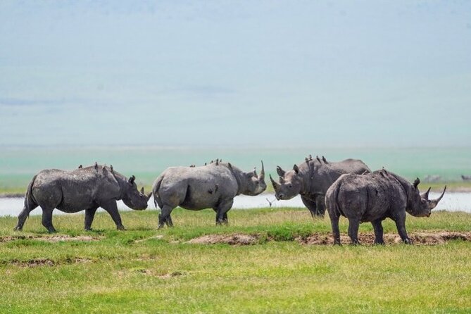 3 Days Tanzania Budget Group Joining Safari Tour - What the $962 price really includes