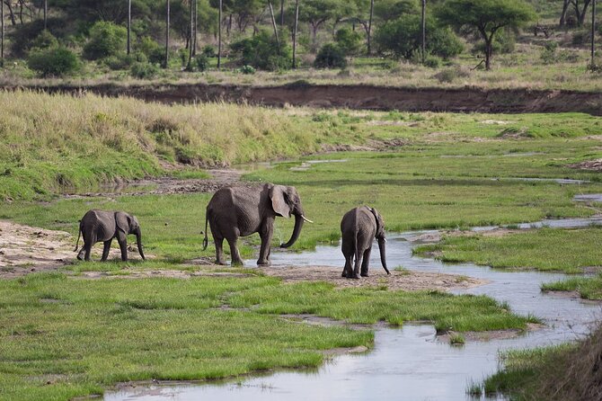 3 Days Tanzania Safari: Tarangire, Manyara and Ngorongoro Crater - Meals, equipment, and comfort