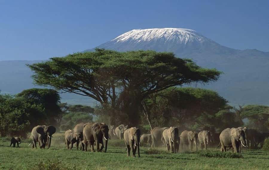 3 days Tsavo East and Amboseli safari from Diani/Mombasa - Day 1: From Mombasa or Diani to Tsavo East