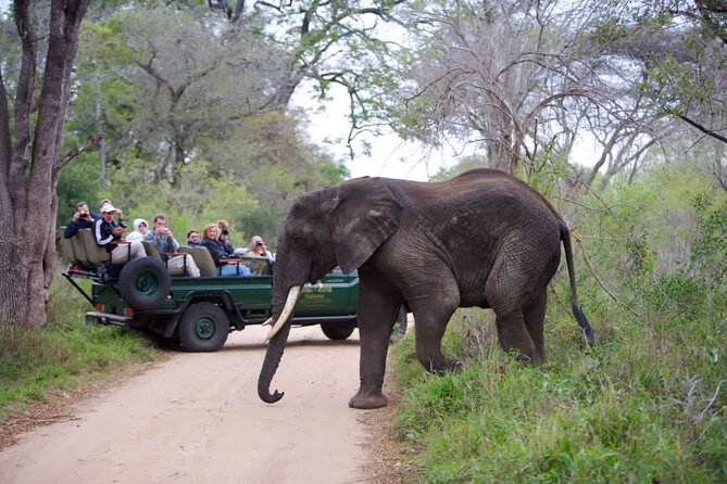 3-Days Ultra Luxury Safari at Kapama River Lodge - The Johannesburg to Kapama journey