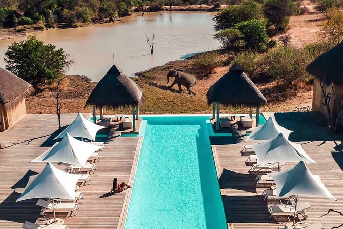 3-Days Ultra Luxury Safari at Kapama River Lodge - Day 1: Arrival, lunch, and the first afternoon drive