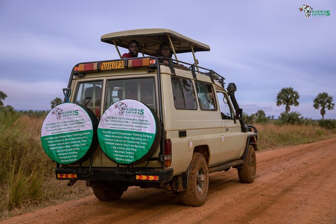 3 Days Wild Tour Queen Elizabeth National Park Safari Uganda - Day 1: Entebbe arrival, Kampala, and the unclear Mabamba stop