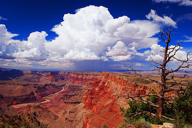 3 Hour Off-Road Sunset Safari to Grand Canyon with Entrance Gate Detour - Who should book this tour
