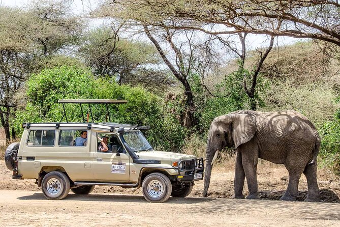 3Days luxury safari to Tarangire Ngorongoro crater and Manyara - Day one: elephants and baobab country in Tarangire