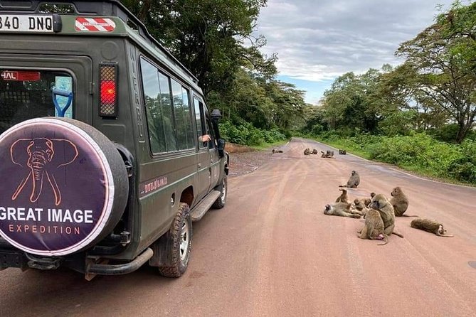 3days Serengeti National park and Ngorongoro Crater Tanzania Safari - What this three-day route is really like