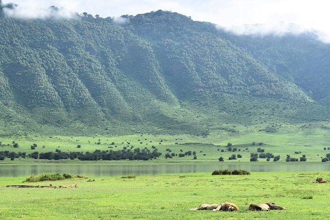 3days Serengeti National park and Ngorongoro Crater Tanzania Safari - Day one: the long road from Arusha to the Serengeti