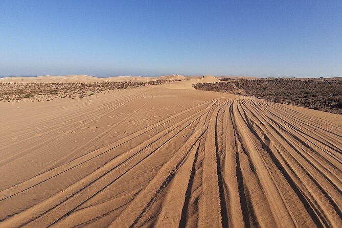 4×4 Jeep Desert Safari Tour with Lunch and Camel Ride - Off-road views beside Souss Massa National Park