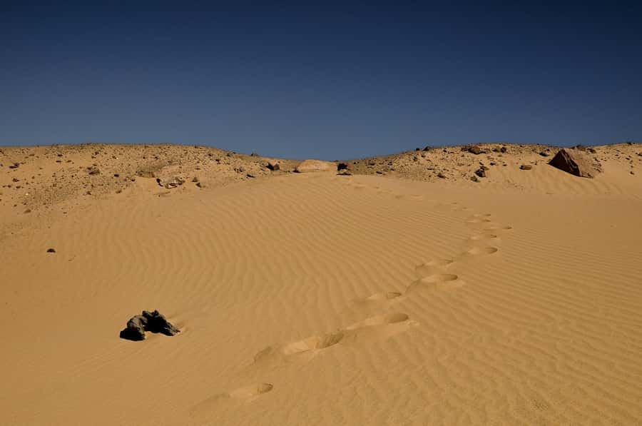 4-Day Bahariya Oasis and African Sahara Camping Adventure. - What the $471 price really covers