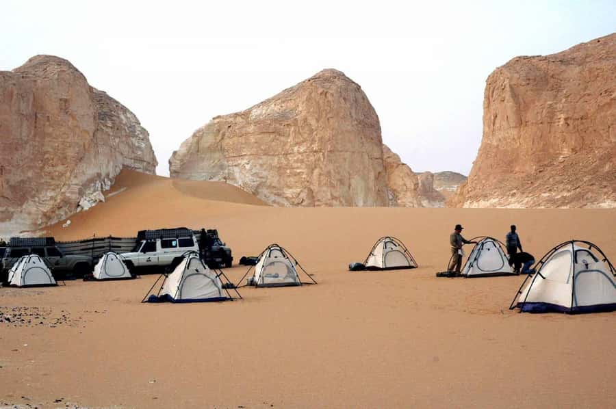 4-Day Bahariya Oasis and African Sahara Camping Adventure. - Who should book this desert adventure
