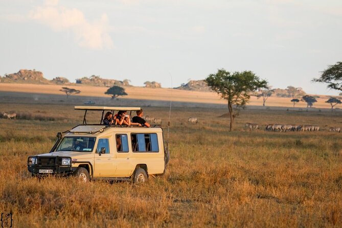 4-Day fascinating Camping Safari in Tanzania - Day three: from the Serengeti to the crater rim