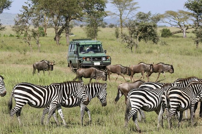 4-Day fascinating Camping Safari in Tanzania - Guides make or break the long drives