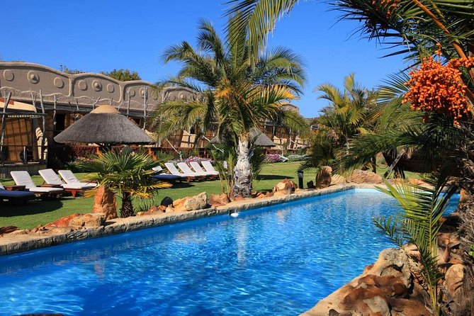 4 Day Garden Route Adventure & Safari - Day 1: Route 62, Cango Caves, and Oudtshoorn ostriches