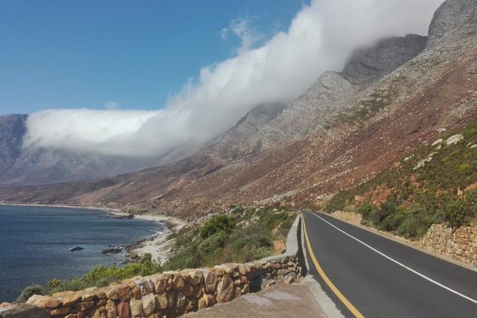 4 Day Garden Route Adventure & Safari - Day 3: Tsitsikamma’s forest coast and Bloukrans Bridge