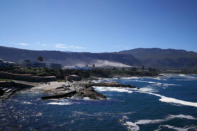 4 Day Garden Route Adventure & Safari - Who should book this Garden Route tour?