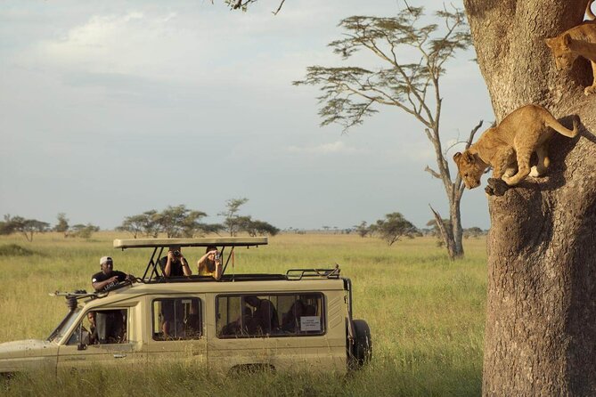4 Day Great Migration Safari Serengeti & Ngorongoro Crater - Why This Four-Day Route Works