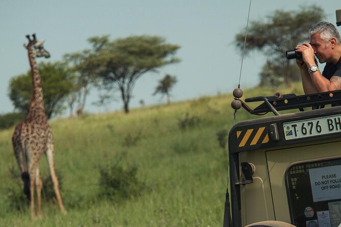 4 Day Great Migration Safari Serengeti & Ngorongoro Crater - Day Three: More Serengeti, Then a Crater-Side Night