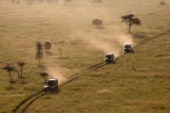 4 Day Great Migration Safari Serengeti & Ngorongoro Crater - What the $2,680 Price Covers
