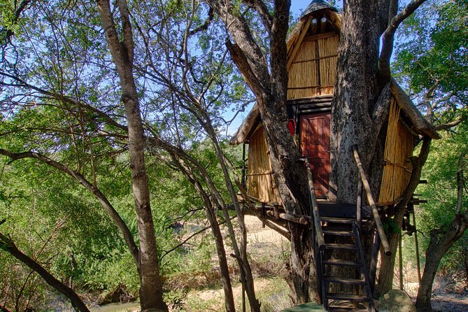 4 Day Lodge and Treehouse Kruger National Park Safari - Day 2: A bush walk with an armed ranger