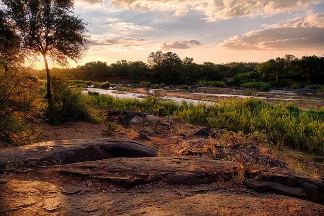 4 Day Lodge and Treehouse Kruger National Park Safari - Day 4: Sunrise, Three Rondawels, and the road back