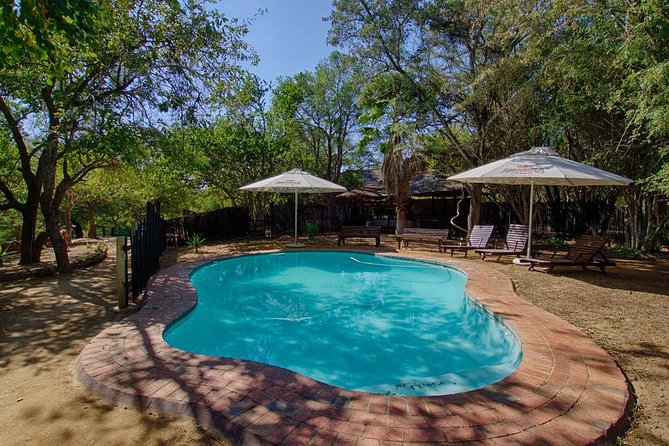 4 Day Lodge and Treehouse Kruger National Park Safari - The value of $917.43 per person
