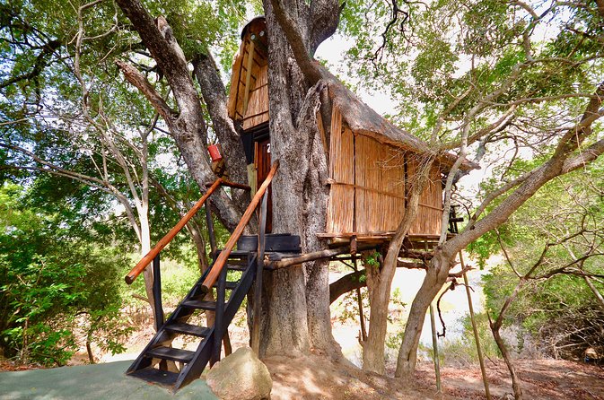 4 Day Lodge and Treehouse Kruger National Park Safari - Day 1: From Johannesburg to the Balule bush
