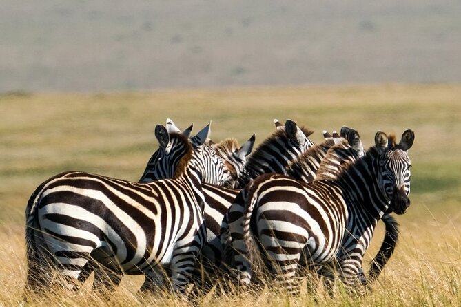 4-Day Majestic Group Tour in Safari - Is $780 a Good Price for Four Days?