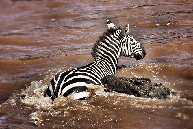 4-Day Manyara Serengeti and Ngorongoro Wonders Budget Safari Tour - Why this four-day route works