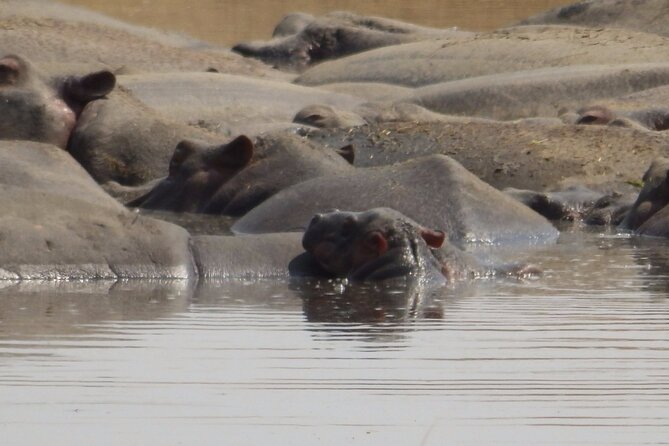 4-Day Safari from Arusha: Tarangire, Serengeti and Ngorongoro - Meals, Water, and Daily Comfort