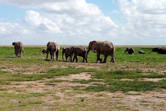 4-Day Safari: Lake Manyara, Serengeti & Ngorongoro - Day two: The long road into central Serengeti