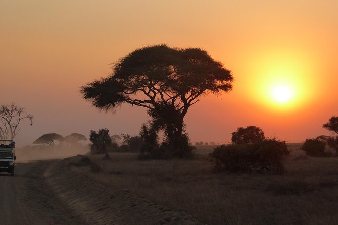 4-Day Safari: Lake Manyara, Serengeti & Ngorongoro - Day one: Lake Manyara’s lake, forest, and tree-climbing lions