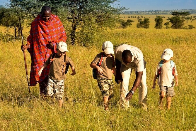 4-Day Safari to Tarangire ,Serengeti and Ngorongoro crater from Arusha - Camping, meals, and what the price covers
