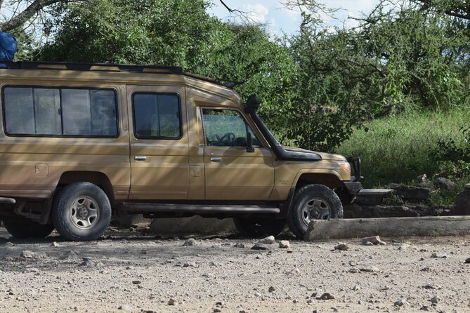 4-Day Safari to Tarangire ,Serengeti and Ngorongoro crater from Arusha - The guide can make or break the experience