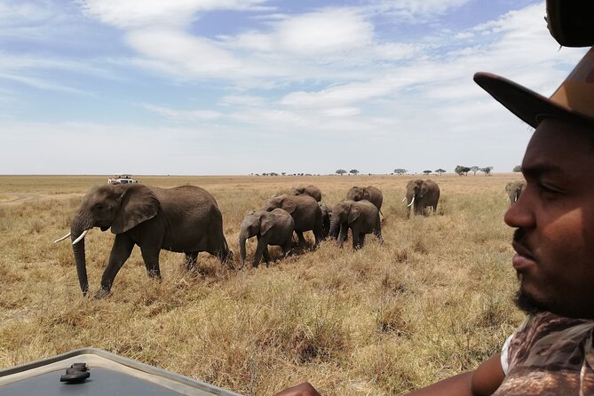 4-Day Safari to Tarangire, Serengeti and Ngorongoro from Arusha - Join a group - The guides make the difference