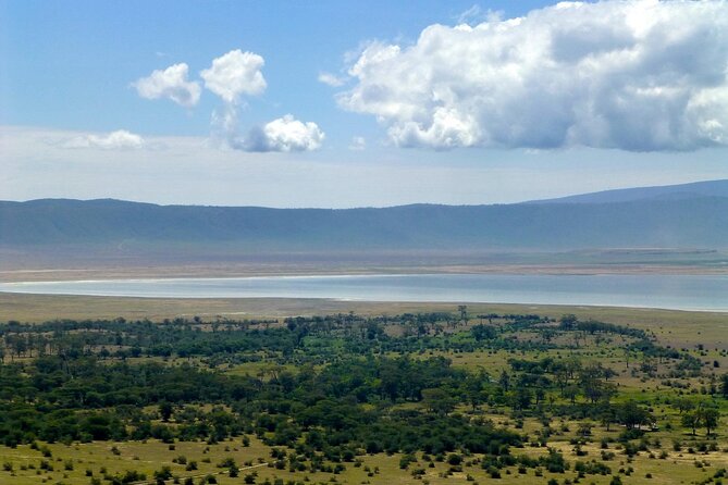 4 Day Tanzania Afordable Safari ft Two Night Serengeti - Day three: The reason two Serengeti nights matter