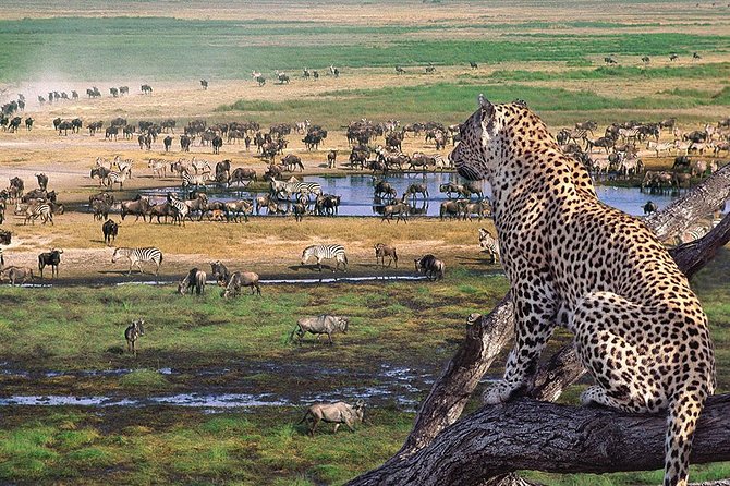 4 Days 3 Nights Tarangire Serengeti & Ngorongoro Lodge Safari - What the $2,080 price really covers