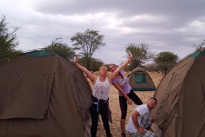 4 Days 3 Nights Tarangire Serengeti & Ngorongoro Lodge Safari - Guides, vehicles, and comfort on rough roads