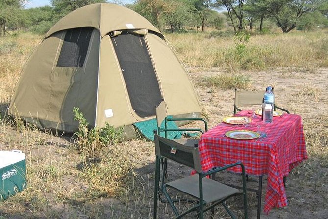 4 Days 3 Nights Tarangire Serengeti & Ngorongoro Lodge Safari - Who should book this safari?