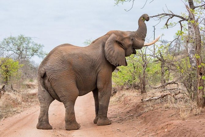 4-Days Adventure Camping Safari to Tarangire, Serengeti & Ngorongoro - Day 4: Searching for the Big Five in Ngorongoro Crater