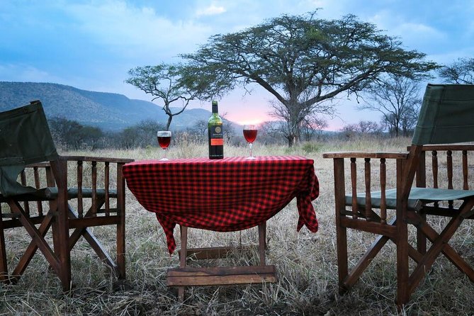 4-Days Adventure Camping Safari to Tarangire, Serengeti & Ngorongoro - Camping, food, and the practical tradeoff