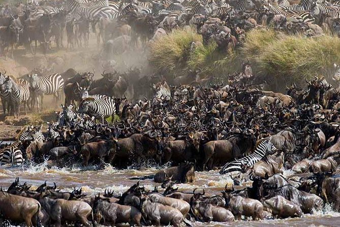 4-Days Adventure Camping Safari to Tarangire, Serengeti & Ngorongoro - Guides, safety, and the small-group advantage