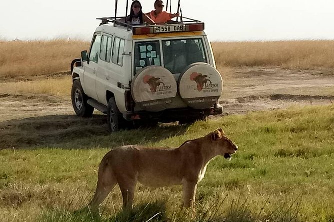4 Days Affordable Tanzania Budget Safari - What this four-day route is really trying to do