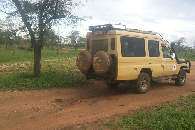 4 Days Affordable Tanzania Budget Safari - Day 3: Serengeti game viewing before Ngorongoro