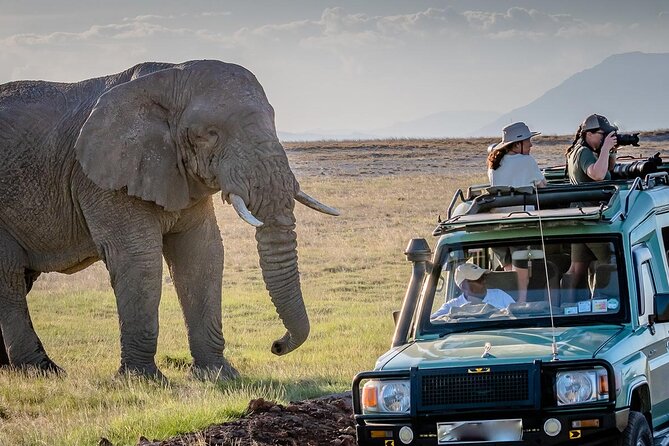 4 days Awesome Luxury safari Tarangire Serengeti & Ngorongoro - A four-day route with three famous parks