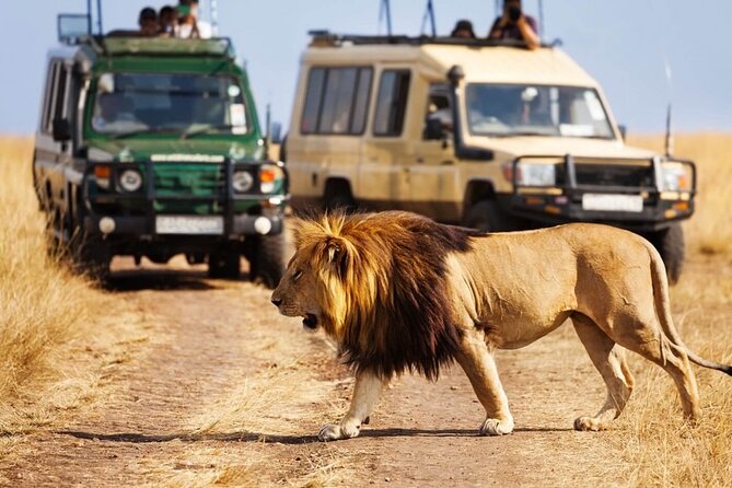 4 days Awesome Luxury safari Tarangire Serengeti & Ngorongoro - Day 1: Tarangire’s elephants and baobab country