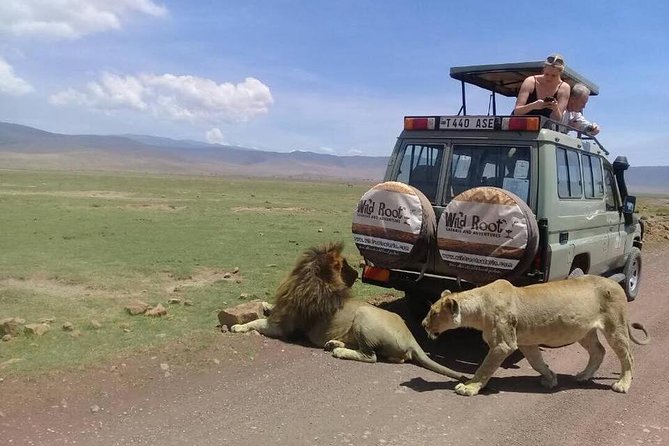 4: days Big five safari - Day 2: descending into Ngorongoro Crater