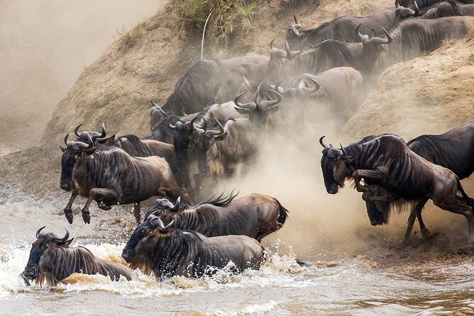 4 Days Experience big five in Tarangire, Serengeti & Ngorongoro Safari - Day 4: Ngorongoro Crater and the trip back to Arusha